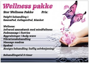 wellness pakke